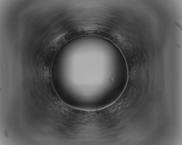X0000097591062200802291213