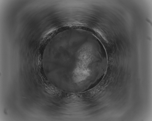 X0000097591063200802291213