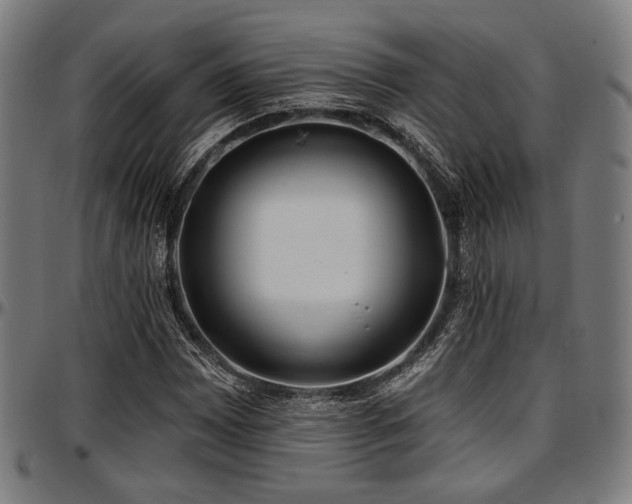 X0000097591065200802291213