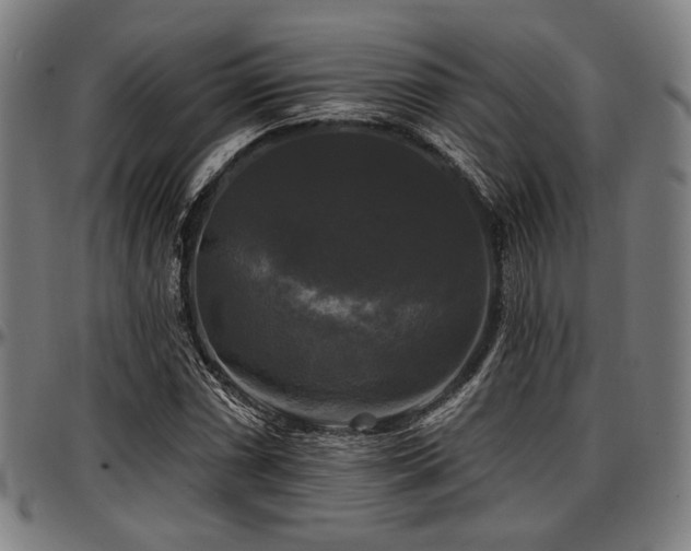 X0000097591066200802291213