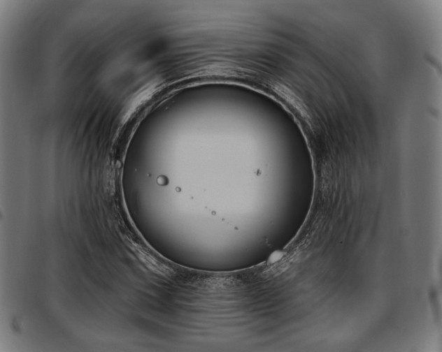 X0000097591067200802291213