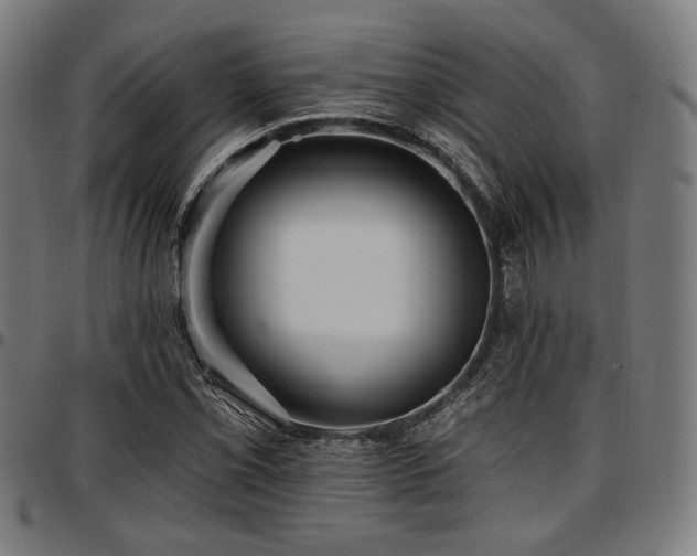 X0000097591069200802291213