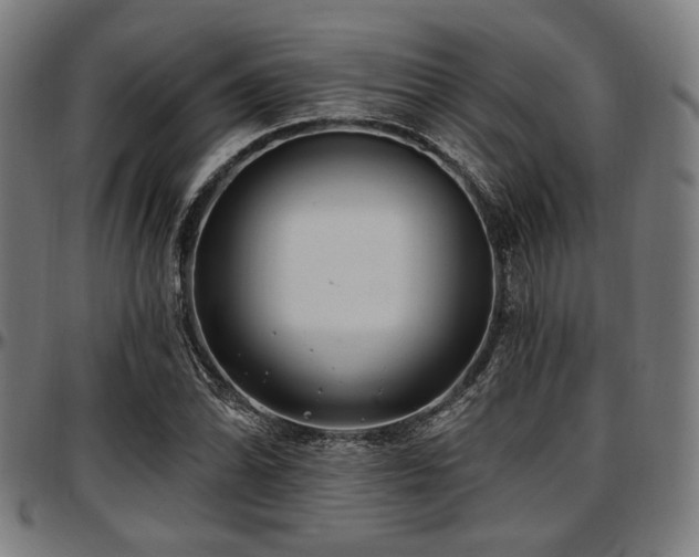 X0000097591070200802291213