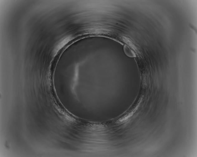 X0000097591071200802291213