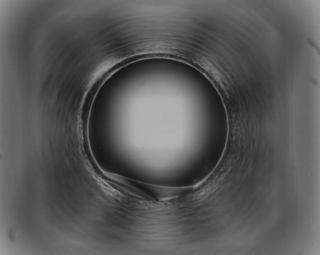 X0000097591072200802291213