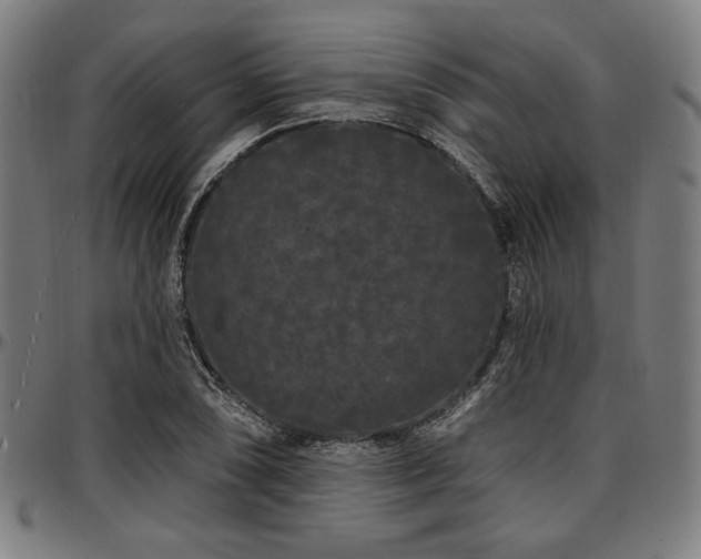 X0000097591074200802291213