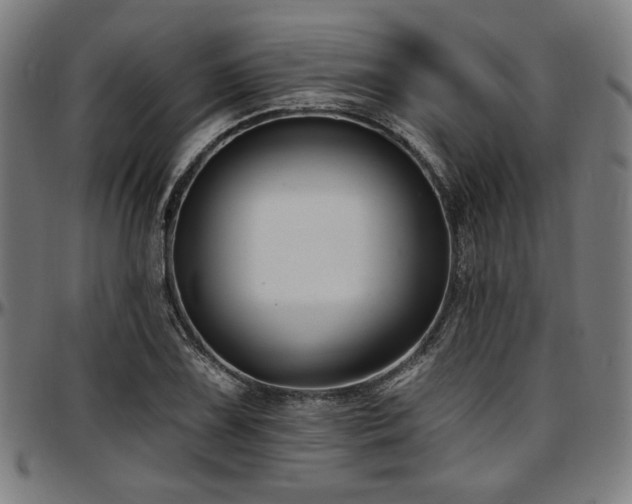 X0000097591075200802291213