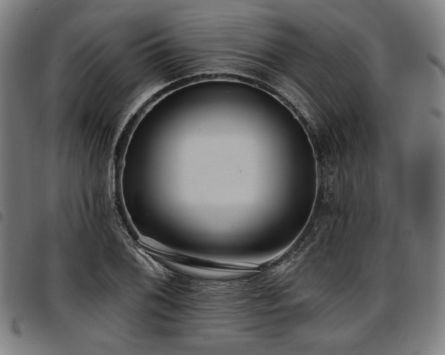 X0000097591076200802291213