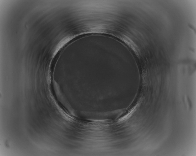 X0000097591077200802291213