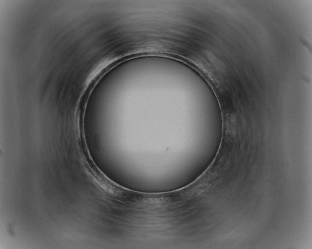 X0000097591078200802291213