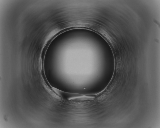 X0000097591080200802291213