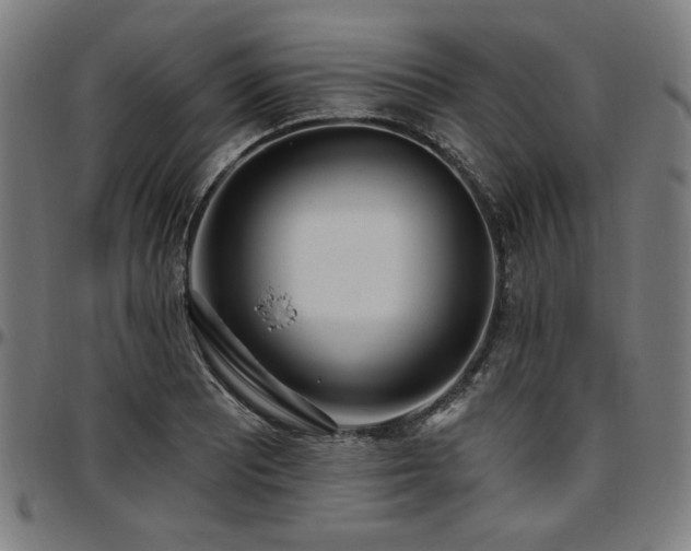 X0000097591081200802291213