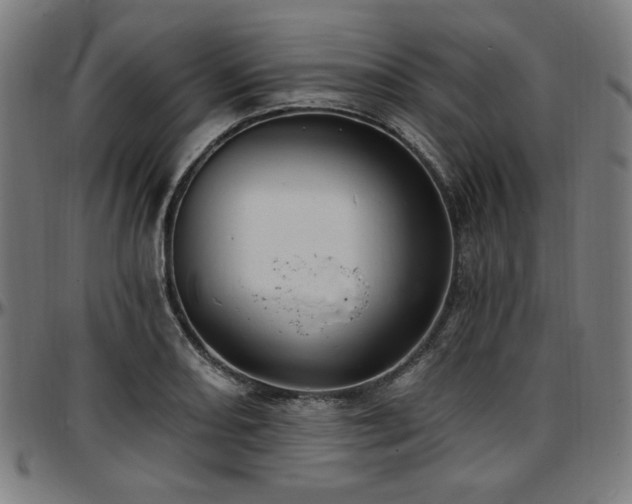 X0000097591082200802291213