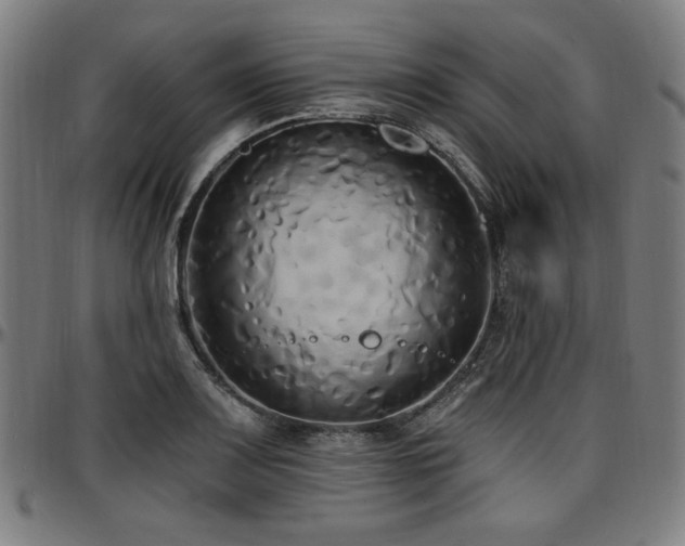 X0000097591083200802291213