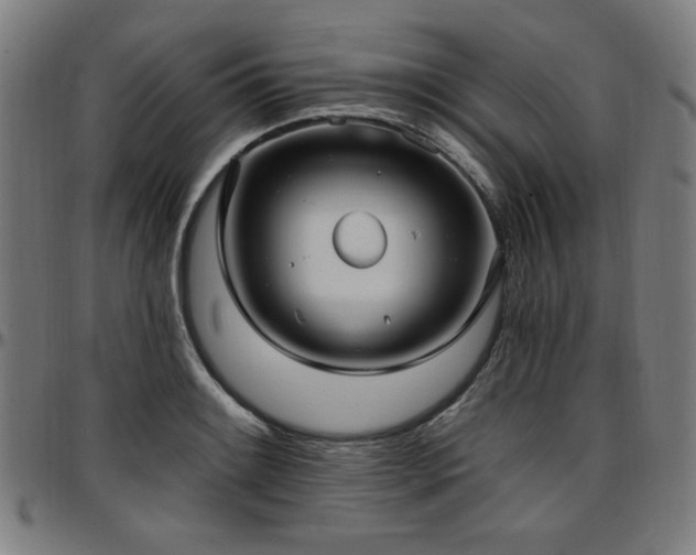 X0000097591084200802291213