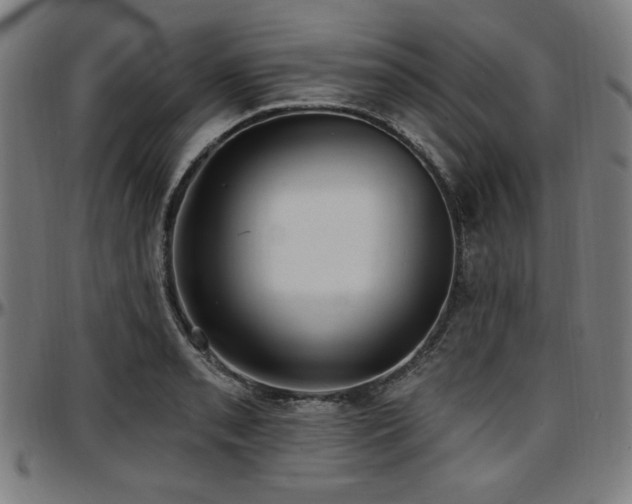 X0000097591085200802291213