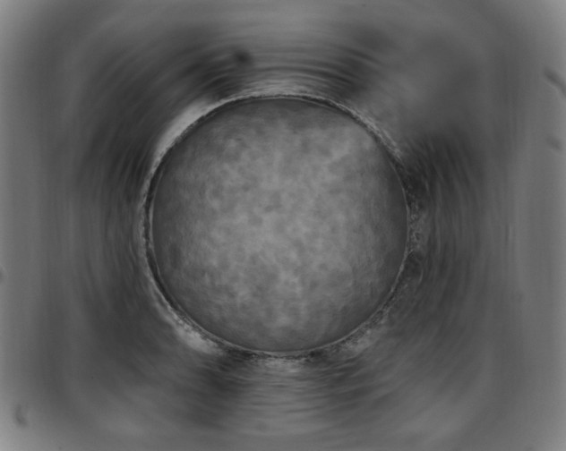 X0000097591086200802291213