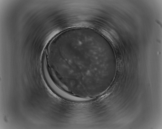 X0000097591087200802291213