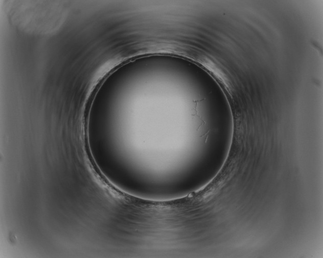 X0000097591088200802291213
