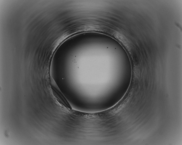 X0000097591089200802291213
