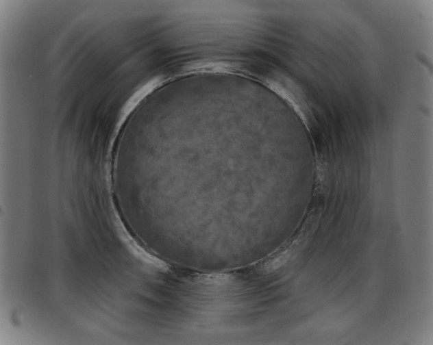 X0000097591090200802291213