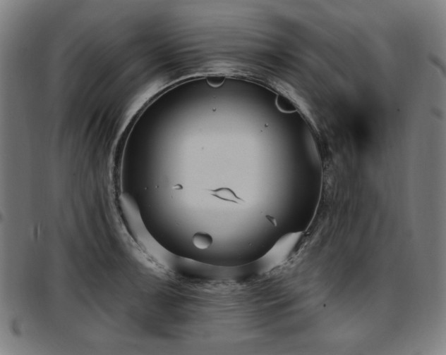 X0000097591091200802291213