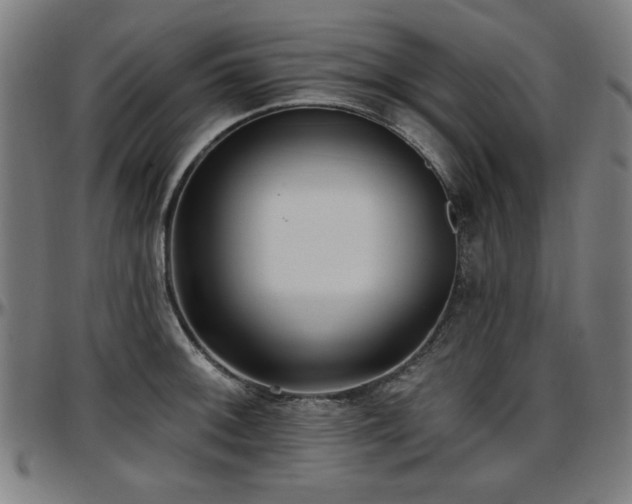 X0000097591092200802291213
