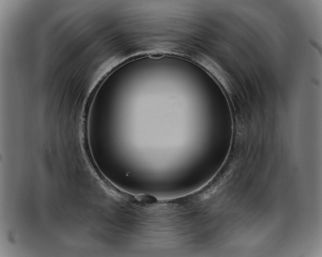 X0000097591093200802291213