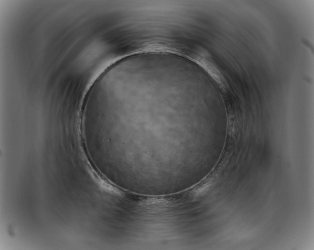 X0000097591094200802291213