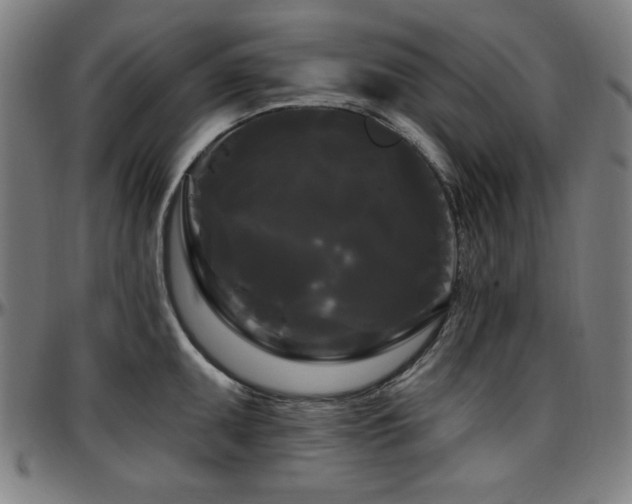 X0000097591095200802291213