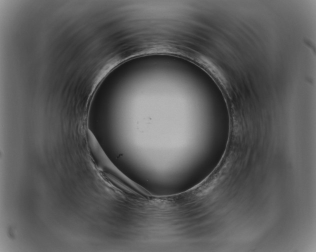 X0000097591097200802291213