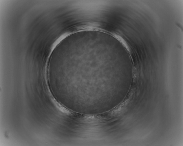 X0000097591098200802291213