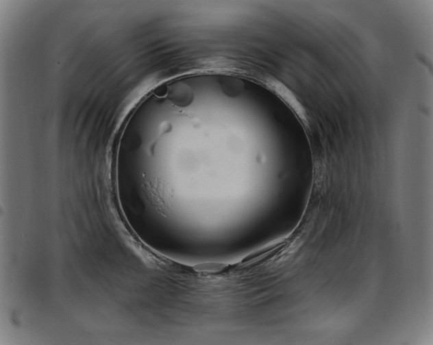X0000097591099200802291213