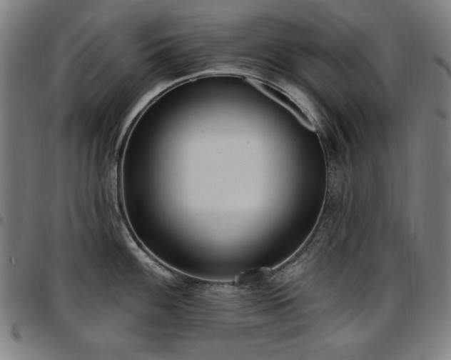 X0000097591100200802291213