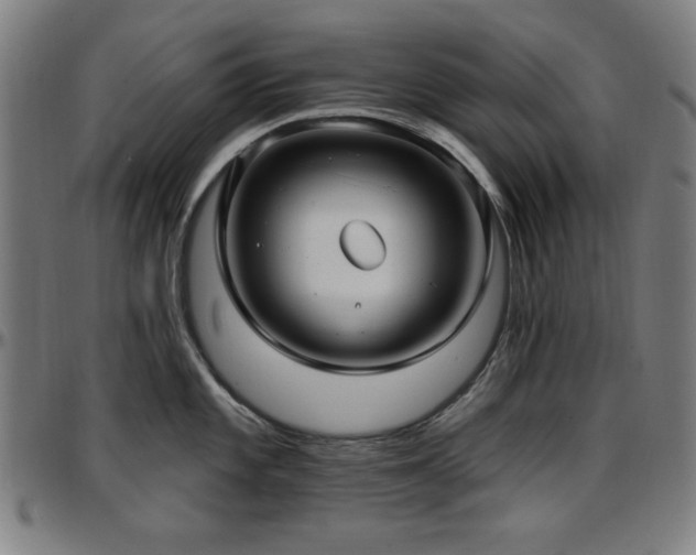 X0000097591101200802291213
