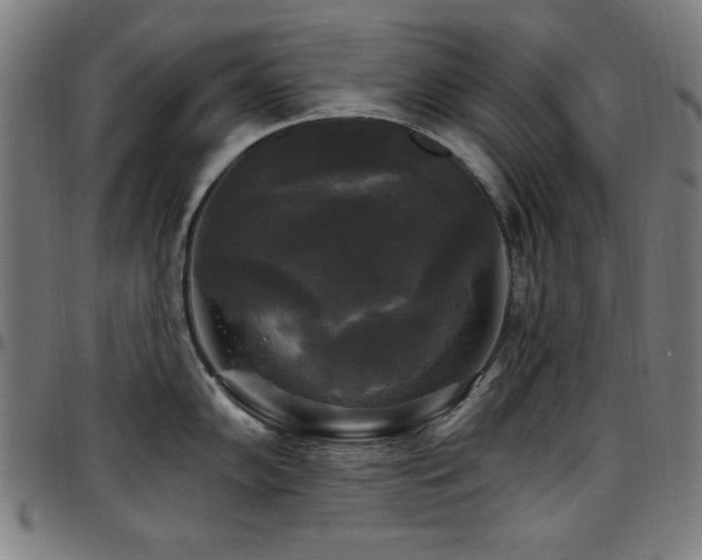 X0000097591102200802291213