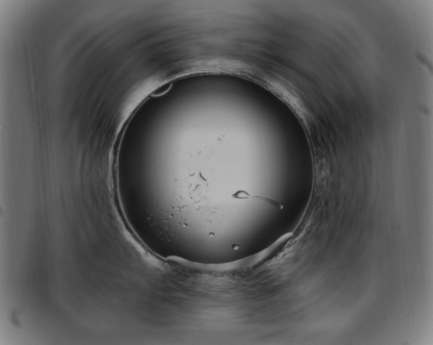 X0000097591103200802291213