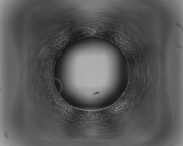 X0000097591105200802291212