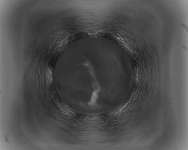 X0000097591106200802291212