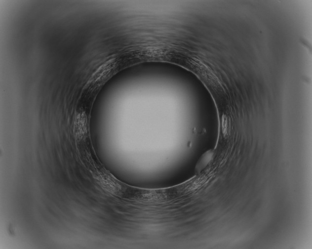 X0000097591107200802291212