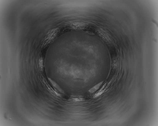 X0000097591108200802291212