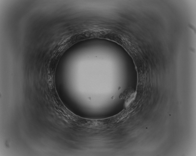 X0000097591109200802291212