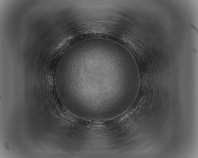 X0000097591110200802291212