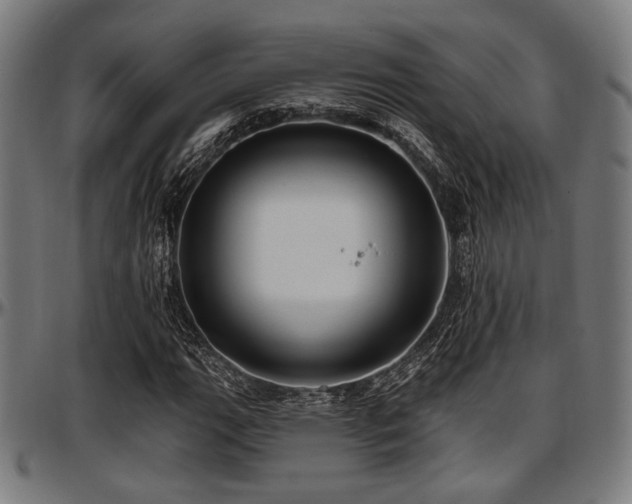 X0000097591111200802291212