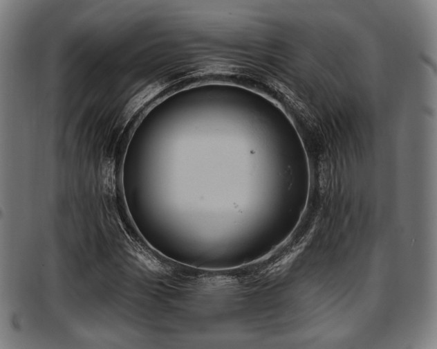 X0000097591113200802291212