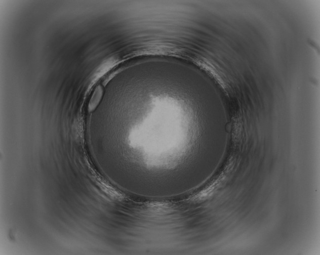 X0000097591114200802291212
