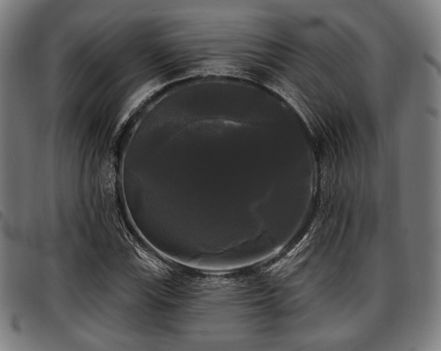 X0000097591115200802291212