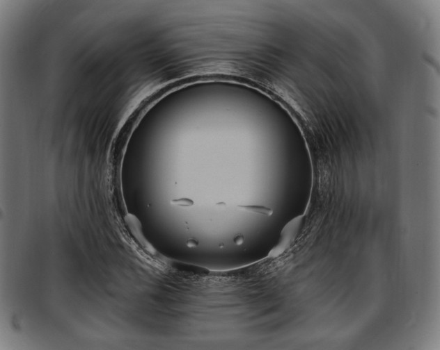 X0000097591116200802291212