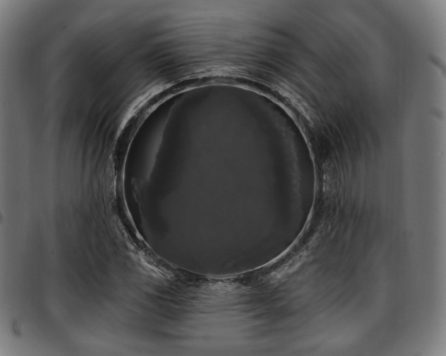 X0000097591117200802291212