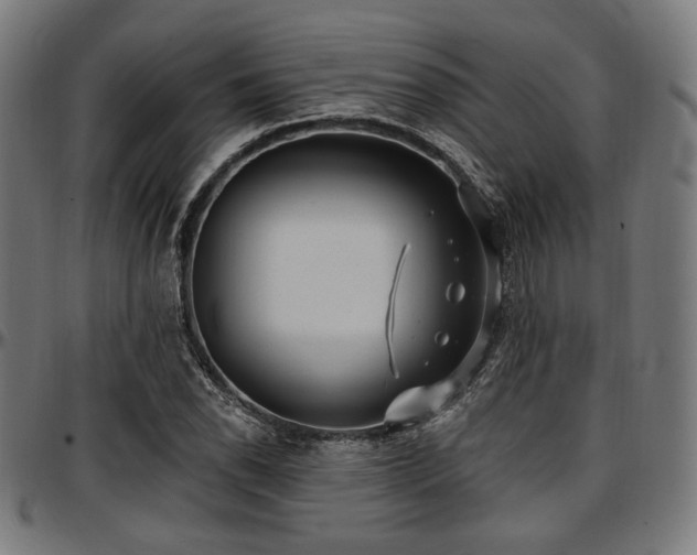 X0000097591118200802291212